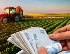 2025 bütçesinde tarıma 706 milyar TL ayrıldı